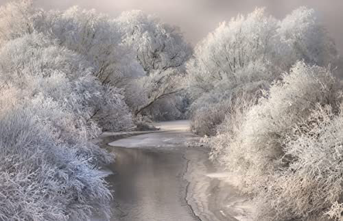 WINTERLANDSCHAFT Fototapete VLIES-350x260 cm (6508A)-Natur Landschaft Bäume Wald Fotokunst Wandtapete-Inkl. Kleister-Vliestapete Bild Dekoration Wand-Dekor Moderne Motiv-Tapete Panorama Poster XXL