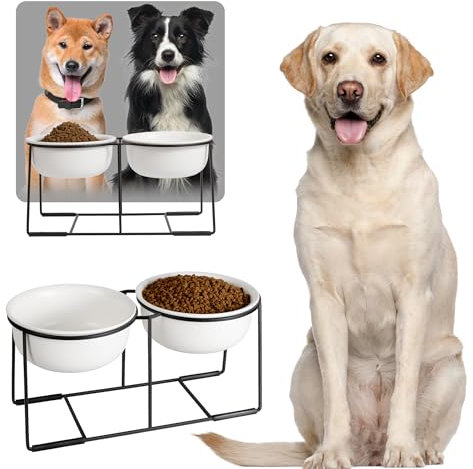 Ceramic Elevated Dog Bowl Set - Large Dog Feeding Bowls with Non-Slip Metal Stand - Raised Dog Food and Water Bowl Set - Double Pet Dishes for Medium and Large Dogs - 3.5 Cups - 54 fl oz - Matte White