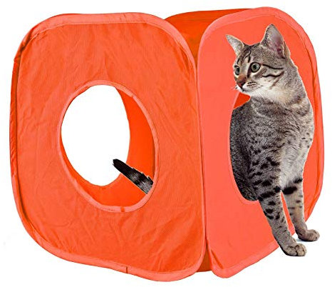 Pet Living Pop-Up-Katzen-Spielwürfel, lustig, starke Box für Katze, Kaninchen, Spielzeug (orange)
