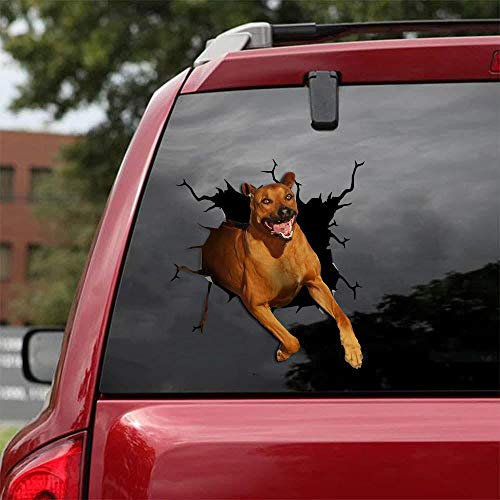 Ocean Gift Rhodesian Ridgeback Auto Decals, Hund Auto Aufkleber 2 Stück - Realistische Rhodesian Ridgeback Aufkleber für Autofenster, Wände Serie 79 Größe 30,5 cm x 30,5 cm