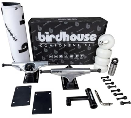 Birdhouse Kit Skate: Component Kit 5.25 Silver/Black