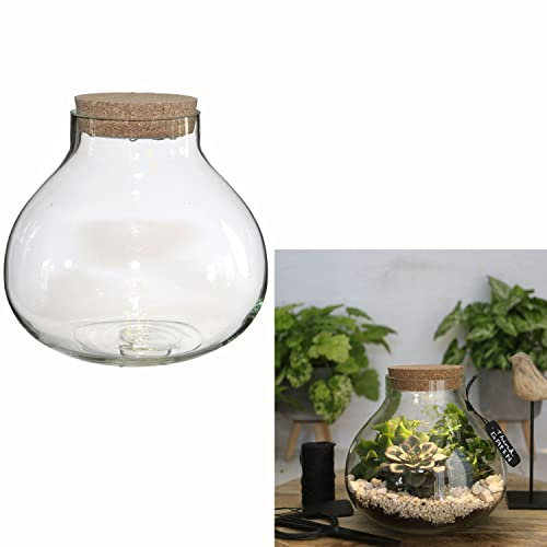 Annastore Pflanz-Terrarium mit LED-Beleuchtung H 14 cm oder 20 cm - Pflanzenglas - Flaschengarten - Pflanzenterrarium - Mini-Garten - Bonsai-Garten - Glas-Terrarium Größe Malia (H 14 cm - Ø 15,5 cm)