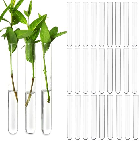 Asaisimg 30 stycken 15 ml klara plastprovrör för växtförökning, hydroponisk vas, rör runt golv för experiment, godisförvaring, väggdekoration (16 cm, 1,5 cm Ø)