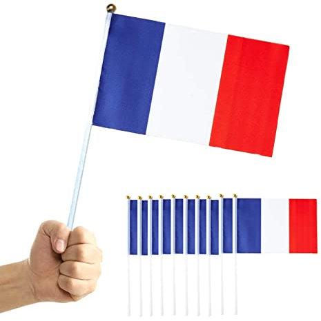 15Pcs Hand Held France Flag HandHeld Mini National Pennant Flag with White Pole, Countries International World Stick Flags for World Cup Sports Events Parades Bar School Football Party Decorations