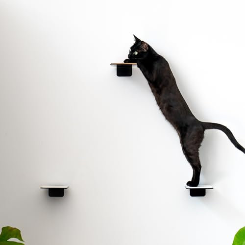 AZANO Katzentreppe 3er Set | Kletterwand Katzen | Katzenleiter Wand [Modernes Design aus Metall] | Katzentreppe Wand | Katzenleiter | Katzenmöbel zum Klettern | S 16x12cm | (Schwarz - Filz)