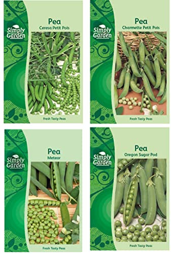 4 Pea Seeds Collection Pack Meteor Ceresa Petit Pois Vegetable Seeds Grow Your Own