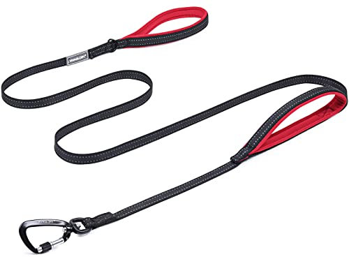 VIVAGLORY Dog Lead Lighthook Double Handle Dog Lead, Leash with Traffic Handle & Locking Carabiner for Walking & Training, Traffic Control Lightweight Carabiner for Puppy Pet, 1.8m x 1.4cm, Black