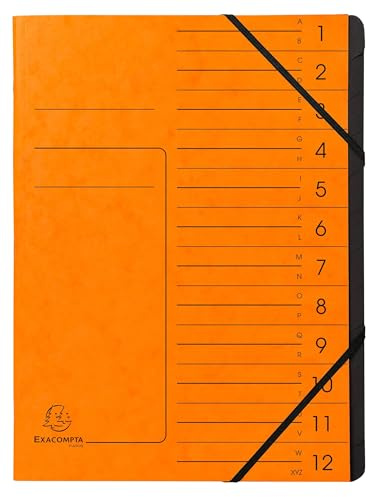 Exacompta - Ref. 541204E – Karton mit 10 Ordnern mit Klammerrücken – mit Gummibändern – bedruckter Deckel aus Glanzkarton und schwarzer Innenseite aus recycelter Karte – 12 Fächer – 24,5 x 32 cm – A4