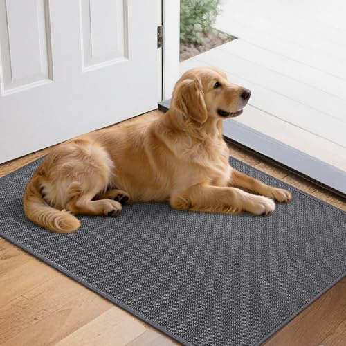Mizuosre Fußmatte Innen Waschbar 60x90cm, rutschfest Fussmatte Innen Dünn Schmutzfangmatte Innen Türmatte Outdoor, Eingangsteppich mit Wasserabsorbierenden für Innen, Außen, Hund & Haustür, Grau