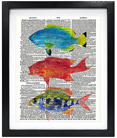 Susie Arts 8 x 10 Vintage gerahmt Colorful Fisch aus recycelten Vintage Wörterbuch Kunstdruck Umweltfreundlich Buch Art Print Home Decor Art Wand V077