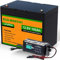 ECO-WORTHY Batterie Lithium 12V 100AH avec Chargeur 10A, Batterie Solaire, Décharge Profonde 3000+ Fois,pour Système Off-Grid/Marine/Solaire，Batterie Camping Car