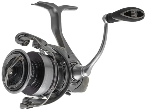Daiwa EXCELER 3000 LT Spin Reel, 5BB + 1, 5.3 : 1