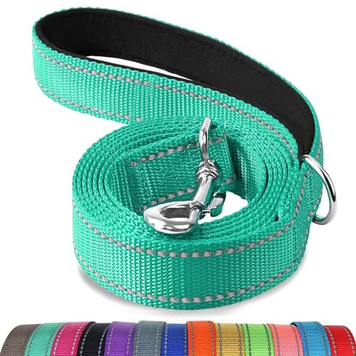 Joytale Hundeleine für Große und Mittelgroße Hunde, Doppelseitig Reflektierende Leine Hund aus Nylon mit Gepolstertem Griff, 1,8m x 2,5cm, Türkis
