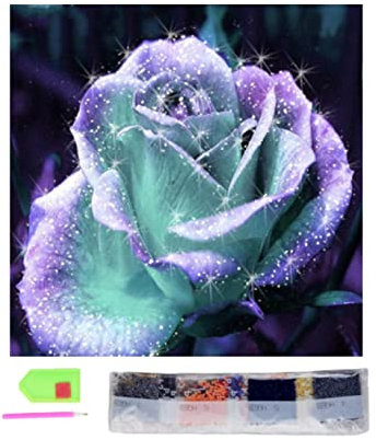 SusggO Diamond Painting, Set Pintura de Diamantes 30cmX30cm Diamond Painting Kit completo accesorios DiY 5D Cuadro Punto de Cruz Bordados Manualidades Decoracion Hogar Pared (ROSA AZUL)