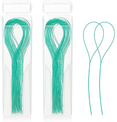 WLLHYF 100 pièces enfile-fil fil dentaire multifonctionnel pour nettoyage en profondeur pour appareils orthodontiques, ponts et implants enfile-dentaire (Vert)