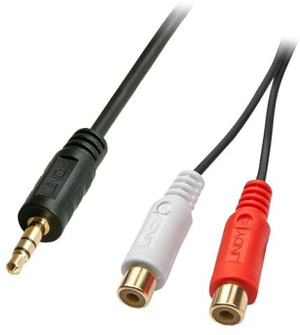 Lindy Câble Audio Premium 2 x RCA (Cinch) Femelle vers Jack 3,5mm mâle, 25cm