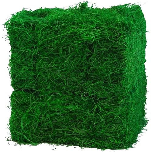 Doubleyou Geovlies & Baustoffe 5 Kilogramm (5Kg) Grünes Ostergras | Perfekt für Oster-Deko | Holzwolle 100% gefärbt | Ideal als Füllmaterial oder zur Dekoration | In Deutschland hergestellt
