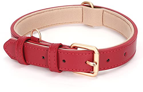 LEACOOLKEY Echtleder Hundehalsband für große mittelgroße Hunde Klassisch weich atmungsaktiv Waterproof Collars