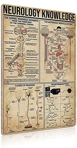 JIUFOTK Neurologie Wissen Metall Blechschild Arzt Anatomie Infografik Poster Krankenhaus Klinik Spezialist Zuhause Schlafzimmer Club Wanddekoration Plakette 30,5 x 45,7 cm