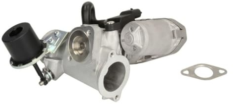 Delphi Technologies EG10453-12B1 AGR-Ventil