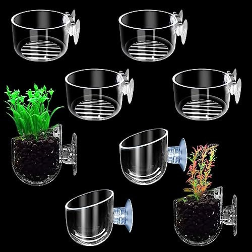 Pizsieat 8 Stück Aquarium Pflanzenhalter Mit Saugnap,Aquarium Plant Glas Cup Transparent Wasserpflanzen Topf Glas für Aquarium Landschaft Mini Fish Tank Decoration