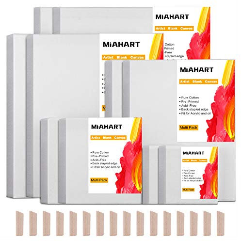 MIAHART 10 Set Künstler Leere Leinwand für Acrylölgemälde in 5 verschiedenen gestreckten Leinwandrahmen (30 x 35 cm / 25 x 30 cm / 20 x 25 cm / 15 x 15 cm / 10 x 10 cm)