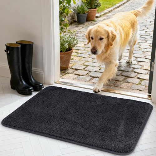 AUAUY Door Mats Indoor, Super Absorbent and Non-Slip Indoor Door Mat, Dirt Trapper Doormat, Machine Washable Doormats Rug for Entrance, Inside, Kitchen, 40 x 60 cm(Dark Grey)