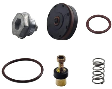 Maigridy Kit de réparation professionnel pour compresseur d'air D55155 D55167 D55168 D55684