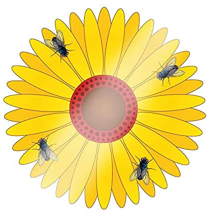 16x Fenster Fliegenfalle Blumenmotiv insektizidfrei, geruchlos, transparent, selbstklebend - Fliegenfänger Klebefalle Insektenfalle Falle