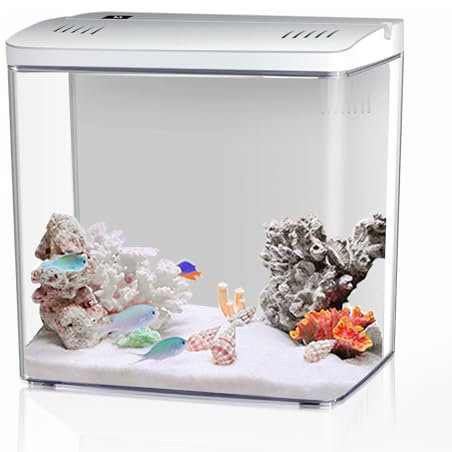 Craftsboys 4.5L Aquarium Starter kits, Small Betta Fish Tank with Led and Filter (White)