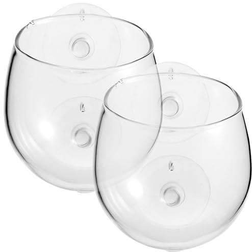Support pour Plantes Aquatiques à Ventouse, Verre Borosilicaté, Lot de 2 | Décors D’aquarium pour Bacs Plantés, Fixation Ferme, Trous D’aération, avec Ventouses