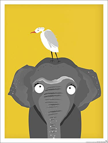 Close Up Kinderzimmer Poster Elefant Afrika (30cm x 40cm) + Original tesa Powerstrips® (1 Pack/20 STK.)
