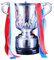 TIANXIE Soccer England League Cup Champions Trophy Football Club Trophies Replica EFL Cup Championship Commemorative Cup Fan Collectibles Souvenirs Home Office Display Ornaments,44cm