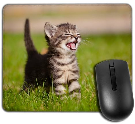 Yeuss Tapis de souris rectangulaire antidérapant Motif chat rouge dans la forêt Jaune Vert 200 x 240 mm, Chat d'extérieur, 200mm x 240mm