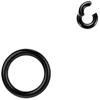 BodyAce Schwarz Segmentring Nasen Clicker, 2G 4G 6G 8G 10G 12G PA Rings BCR Helix Tragus Barbells, Chirurgenstahl Nasenring Septum Piercings Schmuck [12G(2mm),Hoops:8mm]