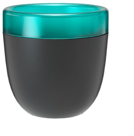 Lazy - Vaso da fiori automatico per assorbire l'acqua, conservazione dell'acqua, irrigazione automatica, per resina e plastica, piante grasse e piante di aloe vera (nero)