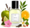 KAZAAR - APOLLO - 30ml - Eau de Parfum für Herren – Fruchtig-würzig mit Apfel, Vanille & Kardamom – für Alltag & Dinner im Frühling, Herbst & Winter – 20 % Duftöl für lange Haltbarkeit – Swiss Made