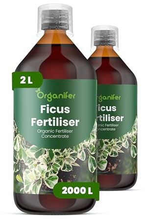 Concime Liquido - 2x1L - Per Ficus - NPK 2-1-8