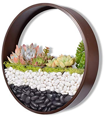 Macetas Pared Metal Jarrones Colgantes, interior plantas Recipientes Maceteros Pequeños Resina para Hierbas Flores Plantas Casa y Jardín Porche Boda Pared Decorativos Uso en Interior Exterior