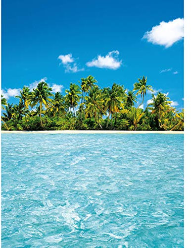 Vlies Fototapete Malediven | Schlafzimmer und Wohnzimmer Fototapete mit Urlaub Paradies in Blau Türkis Grün | 3D Tapete tropische Insel mit Palmen