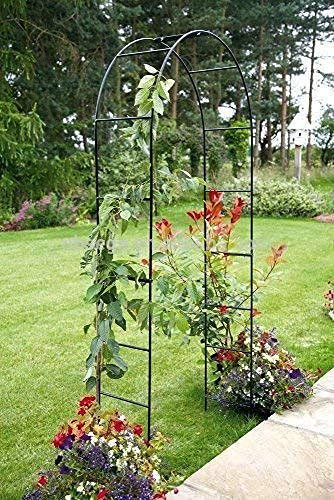 Garden Mile Arche de tonnelle de Jardin Robuste avec Cadre en Acier, Panneaux résistants aux intempéries pour Plantes grimpantes d'intérieur et d'extérieur (8ft)