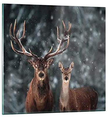 Bilder auf Glas Hirsch Rentier Reh Glasbild 60x60cm Wandbilder Dekoration Wohnzimmer Schlafzimmer Küche Deko Groß Wanddeko Bild im Glas Wand Kunstdruck Art Modern Wall Decor Glasdruck GAC60x60-5060