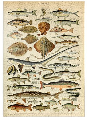 MyPuzzle Fisch für alle, Vintage Art Poster, Adolphe Millot - Premium 1000 Teile Puzzle - MyPuzzle Sonderkollektion von Havana Puzzle Company