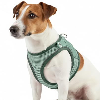 Max & Molly Hundegeschirr Matrix 2.0 Jade/S als Air Vest Geschirr, Step-In Geschirr mit Gotcha! Smart ID, Außenseite aus leichtem Air Mesh Material - Komfort für deinen treuen Begleiter