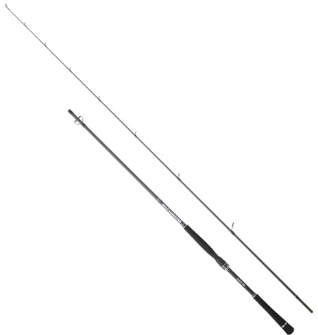 Hearty Rise Salt Monster SW Spin 2,15m 10-30g - Spinnrute, Angelrute zum Spinnfischen