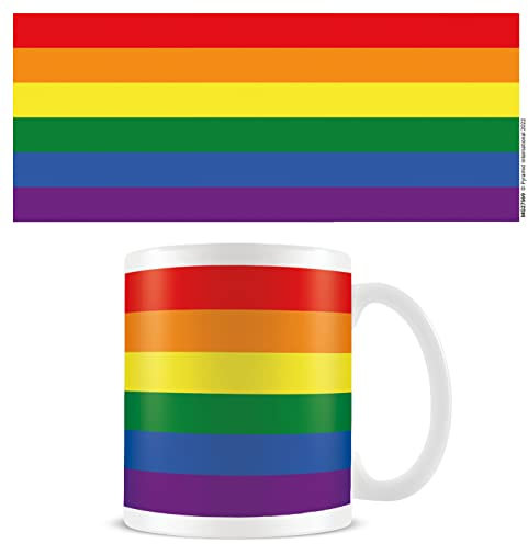 Pyramid International Pride Flag Mug (One Size) (Multicoloured)