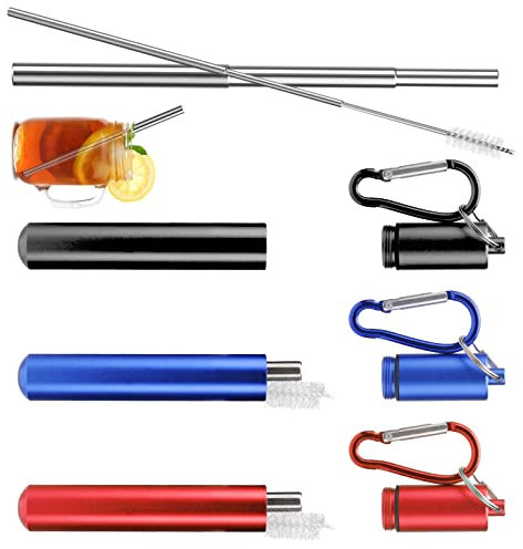 Lot de 3 pailles télescopiques en acier inoxydable réutilisables en métal avec branches pour voyage et travail Idée cadeau