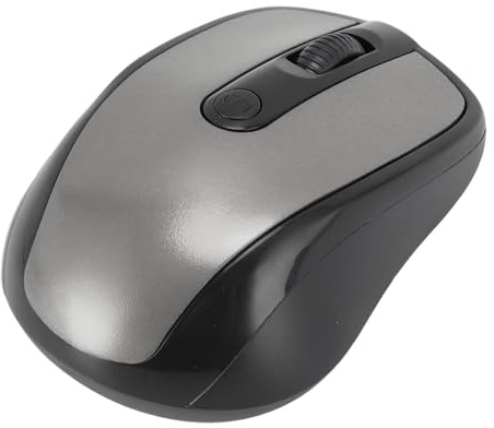 Denash 2,4G Wireless Maus -professionelle Ergonomie Hohe Empfindlichkeit Wireless Optischer Computermaus für Notebook -PC, Effiziente Arbeitsleistung für Spieler (Silver)