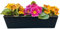 Set di 10 fioriere da balcone adatte per pallet europei, per fiori, erbe e frutti, 37 cm, 6 pezzi, 10 pezzi