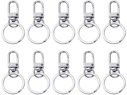 hoinya 10 Stück Schlüssel Karabiner, Schlüsselanhänger mit drehbarem Schlüsselring, Schlüsselanhänger DIY, für Zuhause Büro Zubehör Dekorations, Schlüssel, Hängende Spielzeuge, Bastelutensilien